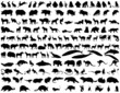 animals silhouette set