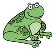 Illustration: green frog 6 green frog 6