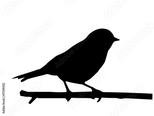 bird silhouette tattoo. silhouette of the small ird