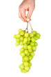 Hand holding bunch of green grapes Hand holding bunch of green grapes