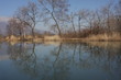 Etang miroir