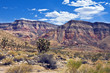 Paiute Wilderness on the Virgin River Gorge