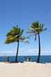Deux places sous les cocotiers Deux places sous les cocotiers