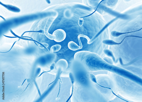 Illustration: sperm closing in on egg sperm closing in on egg