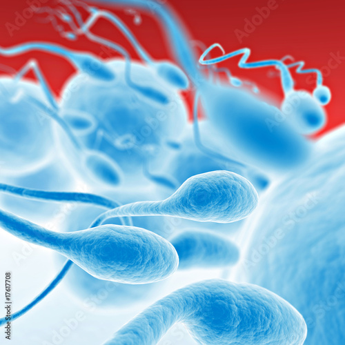 Illustration: Sperm going for the egg Sperm going for the egg