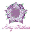 Merry Christmas Stern-Kranz aus Kugeln