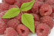 Himbeeren