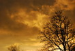 Ciel d'automne