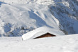 sous la neige
