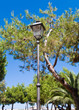 Park lantern. Trani. Puglia. Park lantern. Trani. Puglia.