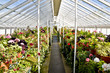Greenhouse interior