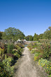 Cottage garden