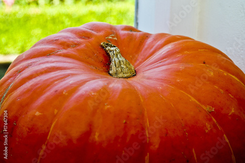Photo: Pumpkin Pumpkin