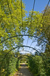Pergola frame