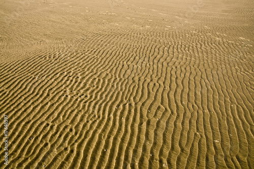 Photo: Sand background Sand background