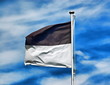 Flag of swiss Kanton Fribourg