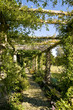 pergola garden