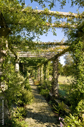 Foto: pergola garden pergola garden