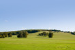 Open landscape