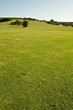 Field