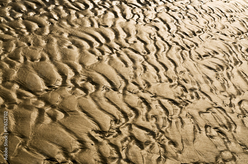 Photo: Ripples in sand Ripples in sand