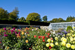 English garden