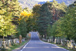 Otoño valle de la Fuenfria