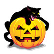 Black cat with pumpkin