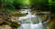 Natural Spring Waterfall