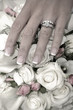 Wedding Rings on Flowers