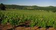Vallée du Lot ; Périgord, Quercy, Midi-Pyrénées