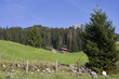 bergsicht