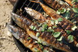 smoked mackerel