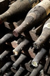 Bottiglie in cantina