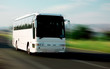 white bus