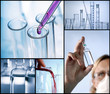 Wissenschaft