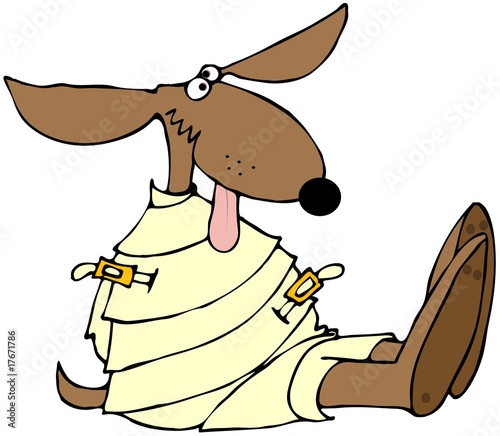 Illustration: Crazy Dog Crazy Dog