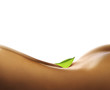 Corps Body Femme Corps Body Femme