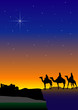 3 wise men