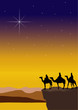 3 wise men