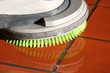 monobrosse