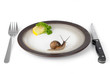 Foto: weinbergschnecke menü weinbergschnecke menü