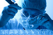 scientist working at the laboratory scientist working at the laboratory