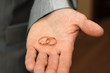 WEDDING RINGS IN HAND