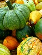 Légumes d'automne