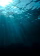 Sunrays at the surface.