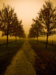 Photo: Herbst Herbst
