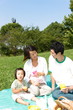 Familiy Picnic
