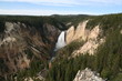 Lower Yellowstone Falls