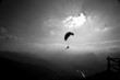 Fly Away